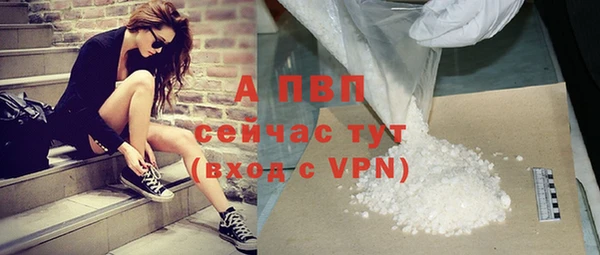 ГАЛЛЮЦИНОГЕННЫЕ ГРИБЫ Коряжма