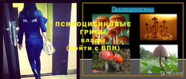 ГАЛЛЮЦИНОГЕННЫЕ ГРИБЫ Коряжма