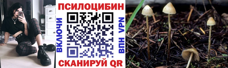 Псилоцибиновые грибы мицелий  Себеж 